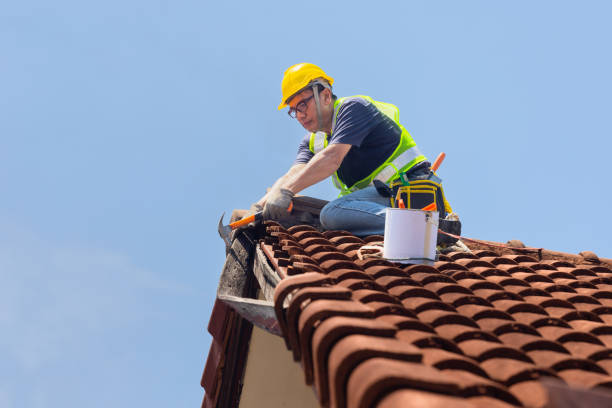 Roof Insulation in Mcqueeney, TX